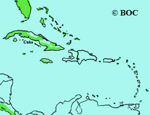 Savannah Sparrow range