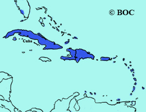 Scaly-naped Pigeon range