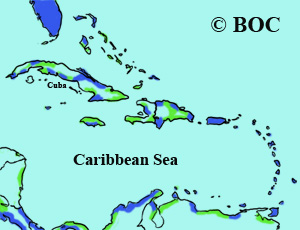 Semipalmated Sandpiper range