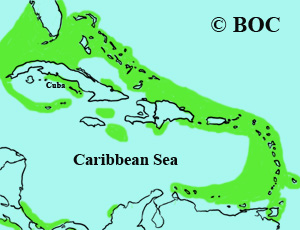 Sooty Tern range