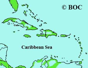 Sora range