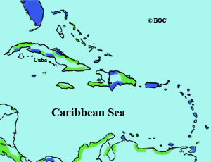Stilt Sandpiper range map