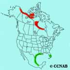 Stilt Sandpiper range map