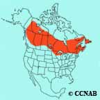 Tennessee Warbler range
