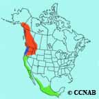 Townsend's Warbler range