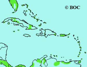 Upland Sandpiper range