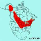 Upland Sandpiper range