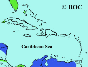 Vermilion Flycatcher range map