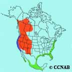 Western Tanager range