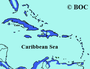 Wilson's Plover range