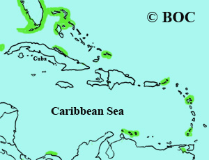 Wilson's Storm-Petrel range