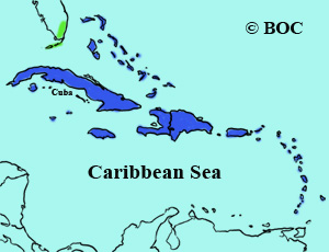 Zenaida Dove range