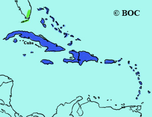 Zenaida Dove range