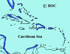 American Oystercatcher range