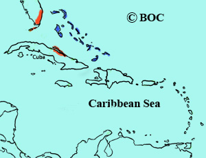 Bahama Mockingbird range