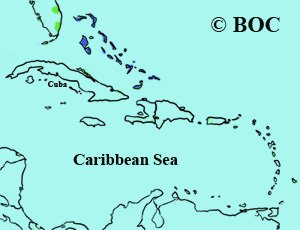 Bahama Woodstar range