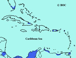 Blue-and-yellow Macaw range