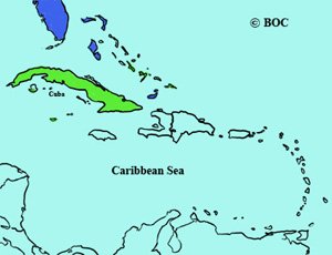 Blue-gray Gnatcatcher range