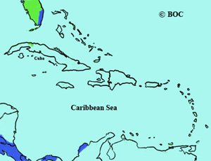 Bronzed Cowbird range