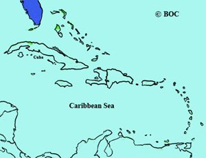 Brown Thrasher range