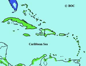 Caspian Tern range