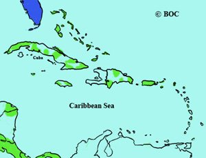 Chuck-will's-widow range