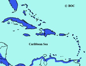 Common Gallinule range