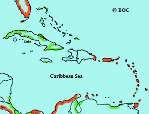 Common Tern range