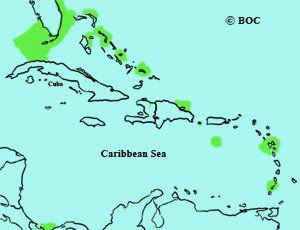 Cory's Shearwater range