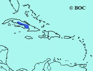 Cuban Palm-Crow range