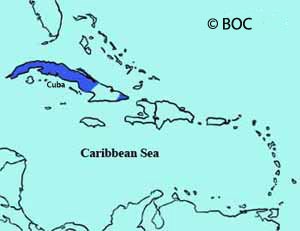 Cuban Tody range map