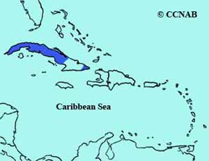 Eastern Meadowlark (Cuban) range map