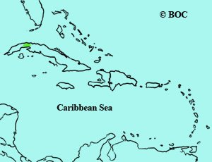 Eurasian Blackcap range map