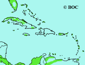 Gray-cheeked Thrush range