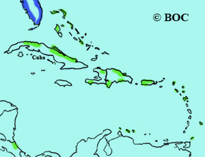 Great Black-backed Gull range