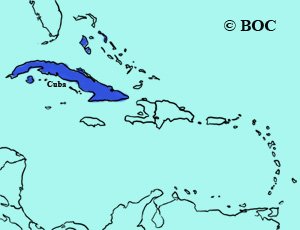 Great Lizard-Cuckoo range