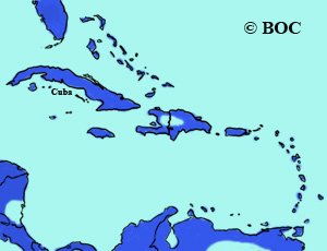 Greater Yellowlegs range