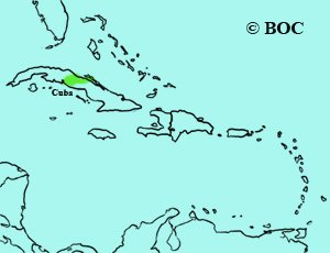 Green-tailed Towhee range