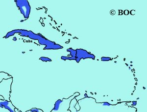 Helmeted Guineafowl range