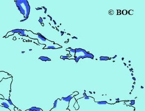 Lesser Black-backed Gull range