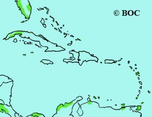 Long-billed Curlew range