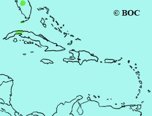 Long-eared Owl range