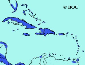 Mangrove Cuckoo range