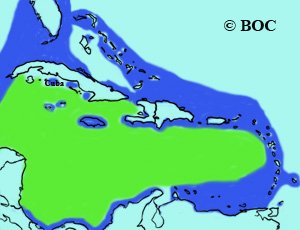 Masked Booby range