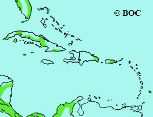 Mississippi Kite range