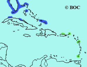 Northern Gannet range