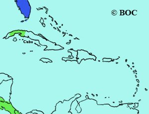 Northern Rough-winged Swallow range