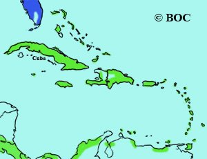 Northern Shoveler range