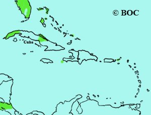 Orange-crowned Warbler range
