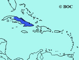 Oriente Warbler range
